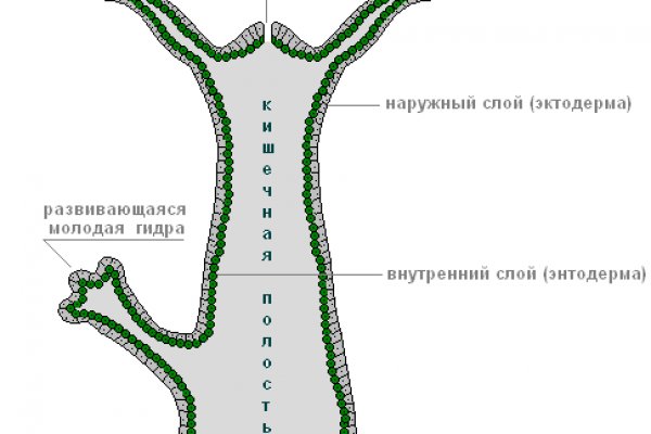 Кракен маркетплейс kr2web in